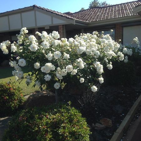 默多克车站住宿加早餐旅馆 珀斯 外观 照片
