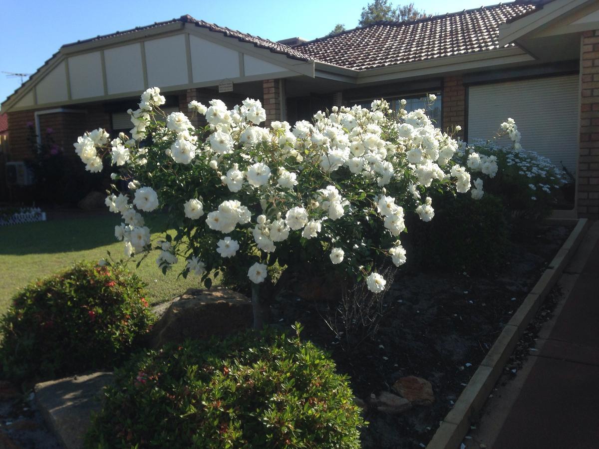 默多克车站住宿加早餐旅馆 珀斯 外观 照片